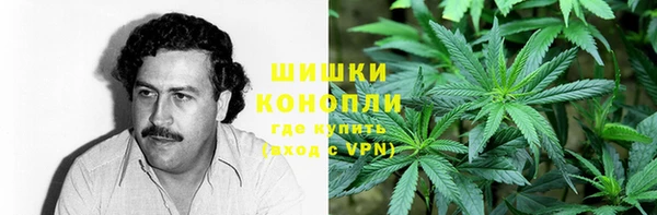 амф Арсеньев