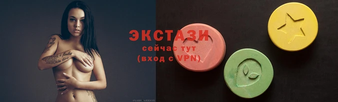 СК Новодвинск